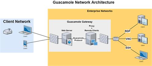 Apache Guacamole服務器安全漏洞與網絡穩定性問題分析及信息系統集成服務應對策略